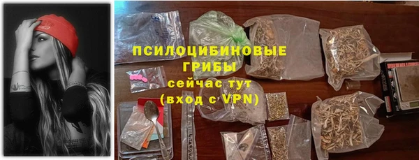 крисы Яранск