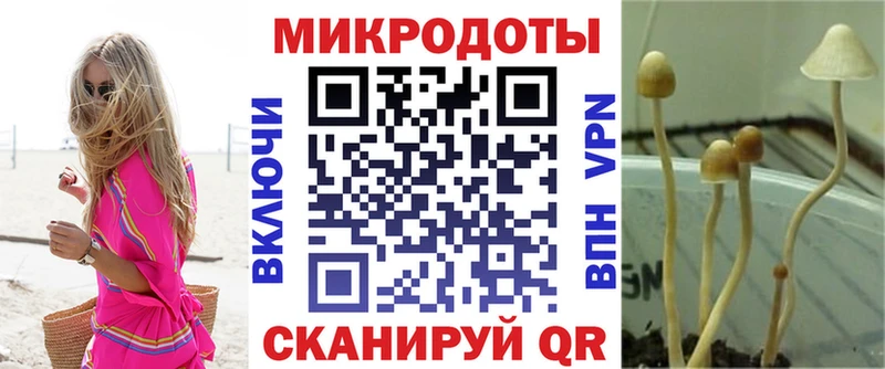 купить закладку  Новошахтинск  ОМГ ОМГ вход  Псилоцибиновые грибы GOLDEN TEACHER 